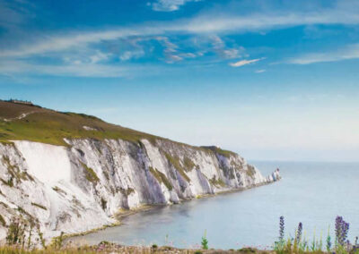 Isle of Wight Delights